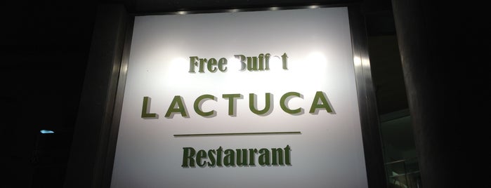 Lactuca is one of Zesareさんのお気に入りスポット.