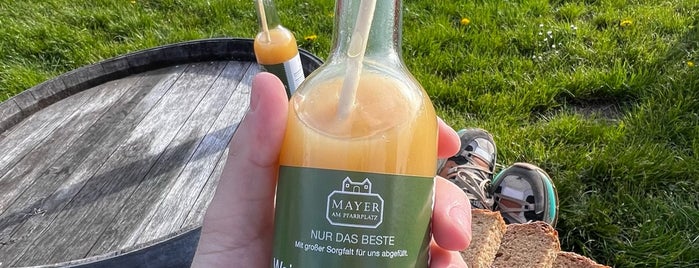 Mayer am Nussberg is one of Vienna Spring 2018.