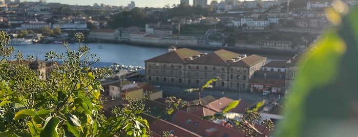 Parque Municipal das Virtudes is one of Porto.