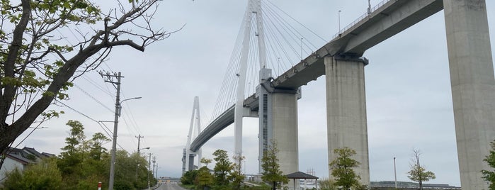 新湊大橋 is one of 土木学会田中賞受賞橋.