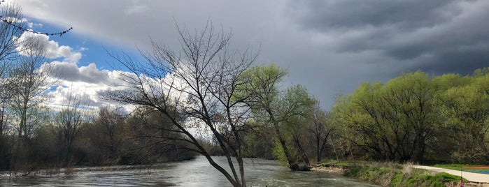 Boise River is one of Alexisさんのお気に入りスポット.
