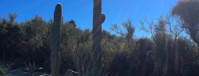 Desert Dunes Golf Club is one of Where You Can Find Me In The 760 Area.