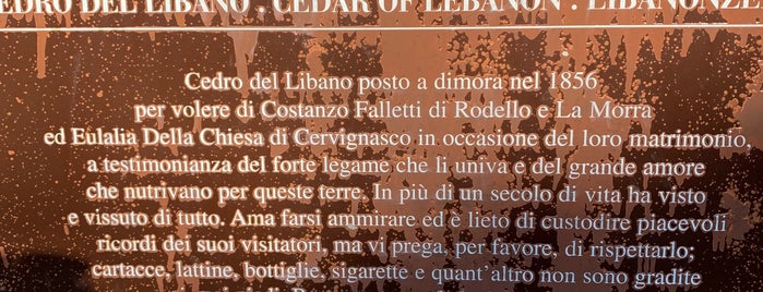 Il Cedro is one of Alba e Langhe.