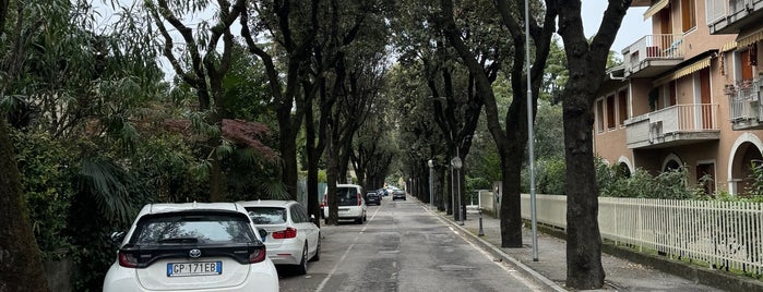 Desenzano del Garda is one of Posti che sono piaciuti a 🍒Lü🍒.