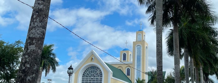 Our Lady of Peñafrancia Basilica of Naga is one of Basilicas in the Philippines.