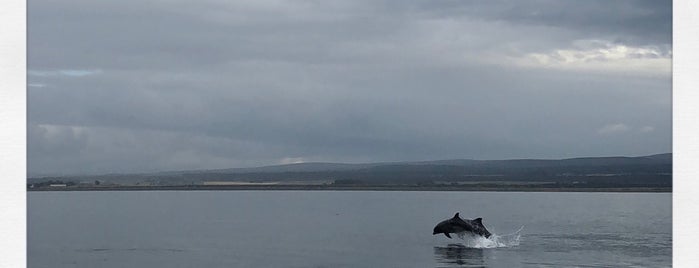 Chanonry Point is one of Gemmaさんのお気に入りスポット.
