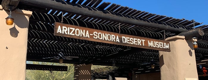 Arizona-Sonora Desert Museum is one of Sunset in Arizona.