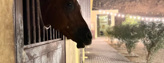 مركز منيرا للخيول is one of Horseback Riding for women in Riyadh.
