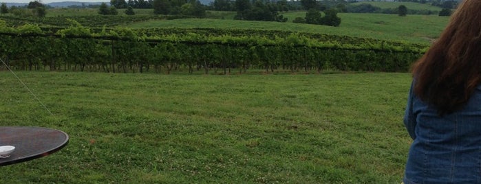 Echo Valley Vineyard is one of Locais curtidos por A.