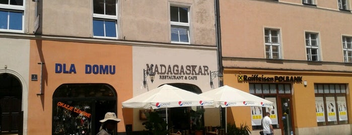 Madagaskar is one of Poznań za pół ceny // Half price Poznań.
