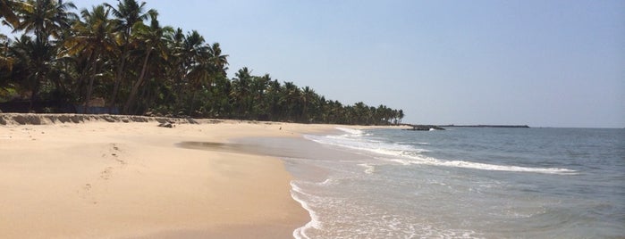 Carnoustie Beach Resort is one of Kerala Resorts.
