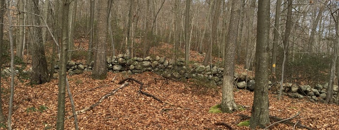 White Rock Walk is one of Hikes in Philipstown.