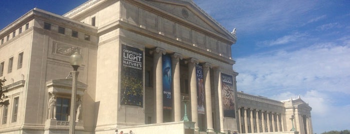 Muséum Field is one of Chicago Adventures.
