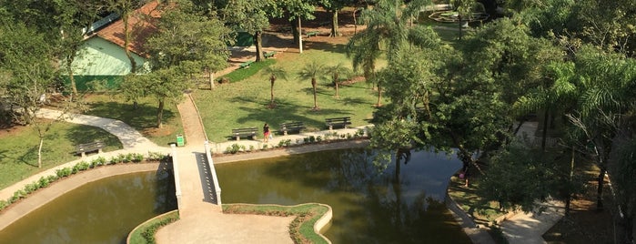 Jardín Botánico Chico Mendes is one of Santos.