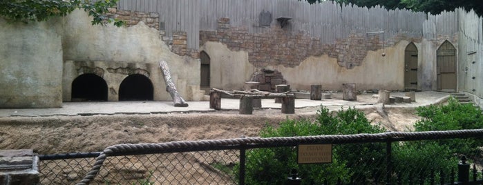 Wolf Valley - Busch Gardens is one of สถานที่ที่ Lizzie ถูกใจ.