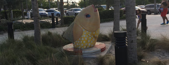 Splash Park At Pompano Beach is one of Locais curtidos por Kamila.