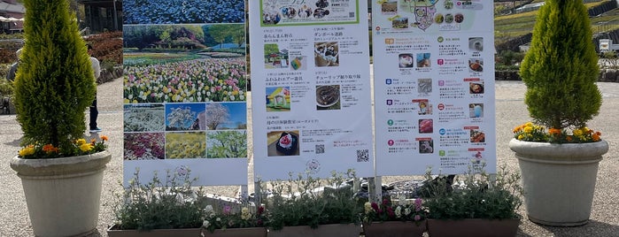 Flower Festival Commemorative Park is one of Club,Live house & halls.