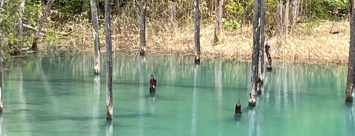 Shirogane Blue Pond is one of monogatari.