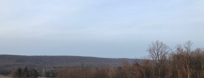 Boyd Big Tree Preserve is one of Harrisburg Hits.