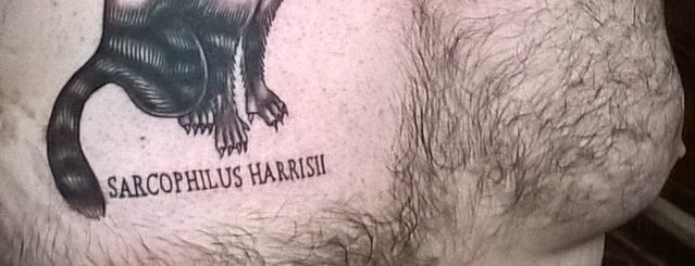 Animal Farm Tattoo is one of Friends.