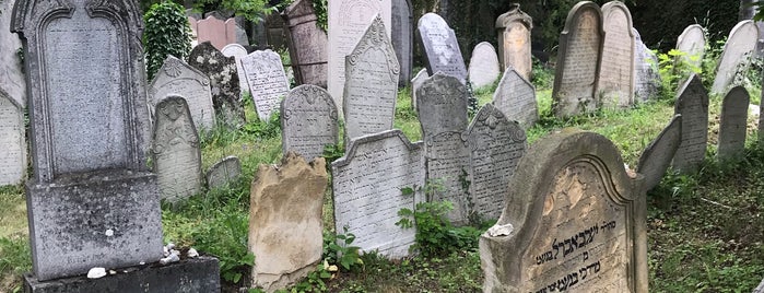Židovský hřbitov is one of Tipy na výlet - Pálava.