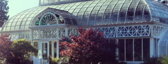 Volunteer Park Conservatory is one of Seattle Done Correctly.
