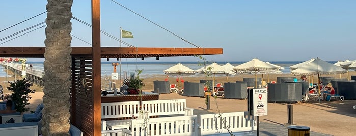 Sharm El Sheikh Beach is one of Egypt.
