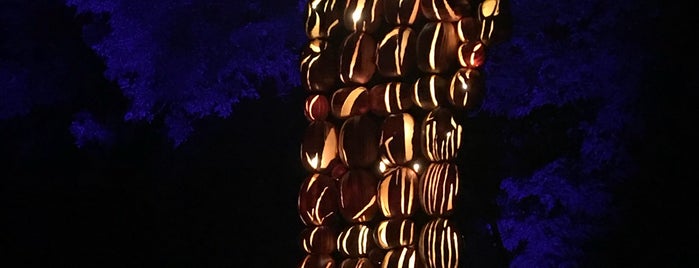The Great Jack O'Lantern Blaze is one of Kimmie's Saved Places.