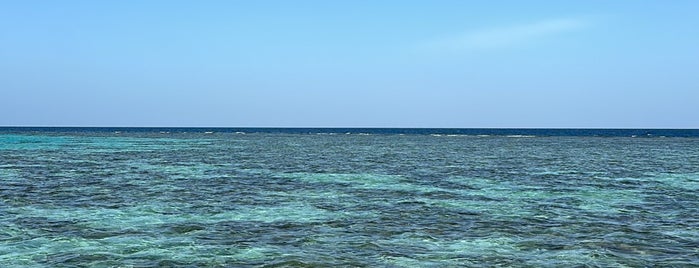 Bayadah Island is one of Locais salvos de B.