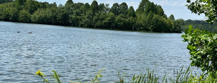 Curtis Memorial Park Lake is one of Park | Lake.