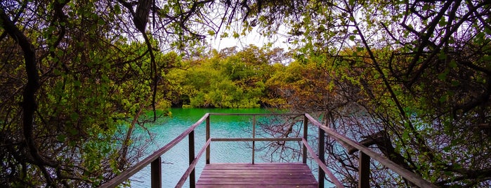 Laguna de las Ninfas is one of Equateur.