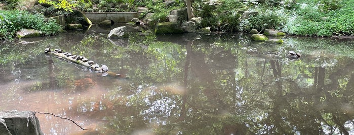 ジャブジャブ池 is one of 公園.