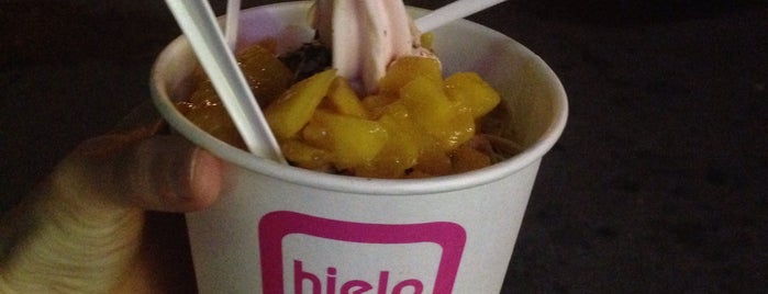 Hielo Frozen Yogurt is one of fren.