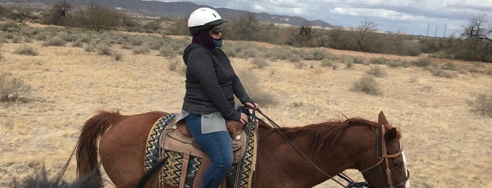 Koli Equestrian Center is one of Arizona.