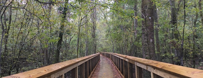 Congaree National Park is one of National Park Service.