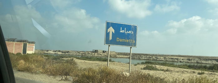 Damietta is one of shakira.