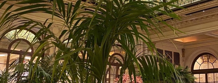 The Palm Court at The Plaza is one of SKW : понравившиеся места.