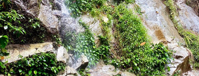Agro Highlands (Air Terjun Sungai Bisek) is one of Lieux sauvegardés par ꌅꁲꉣꂑꌚꁴꁲ꒒.