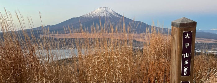 大平山 is one of 山と高原.