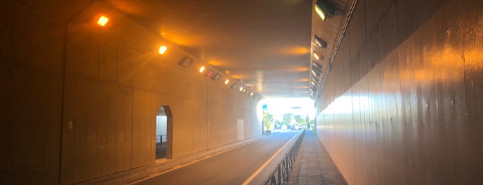 胡録トンネル is one of 東京隧道.
