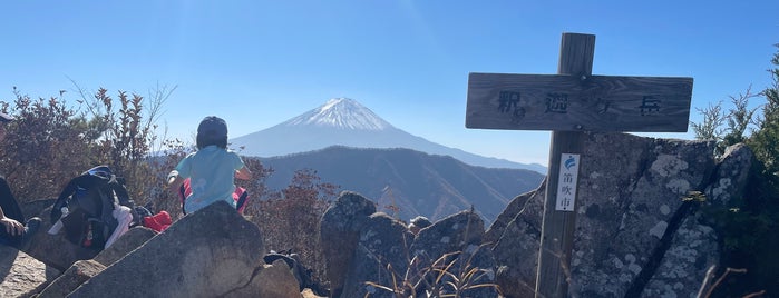 釈迦ヶ岳 is one of 山梨百名山.