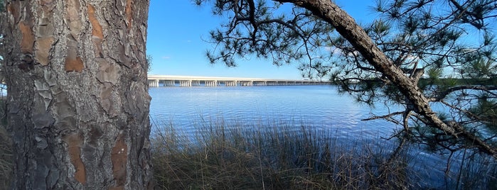 Camp Helen State Park is one of Florida State Parks.