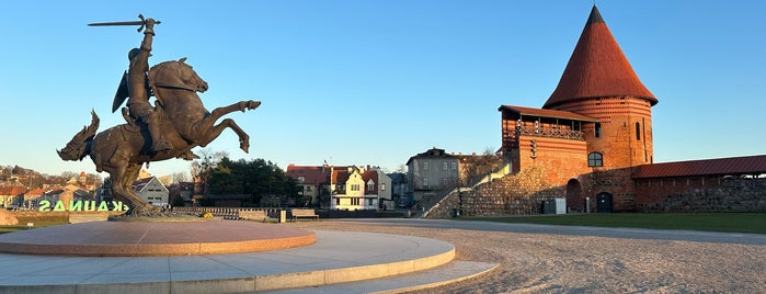 Kauno Pilis | Kaunas Castle is one of Lit-huania.