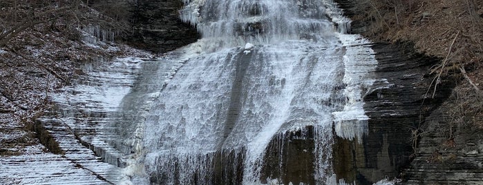 Shequaga Falls is one of ithaca.