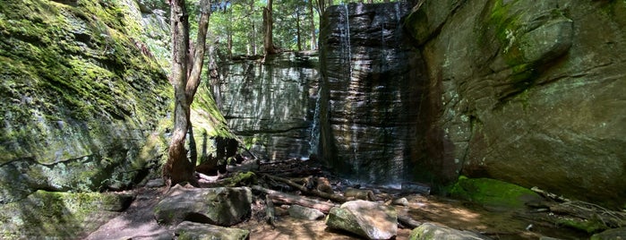 Hector Falls is one of Waterfalls.