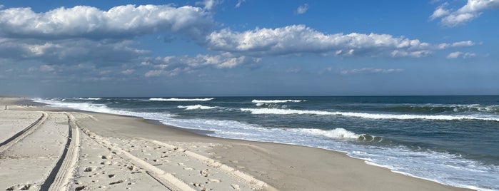 Island Beach State Park is one of Favorites.