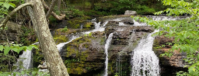 Fulmer Falls is one of BEST OF: Stokes State Forest & Swartswood.