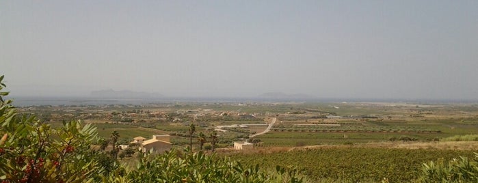 Cantine Fina is one of Sicilia.