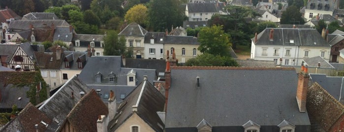 Amboise is one of Viva La France!.