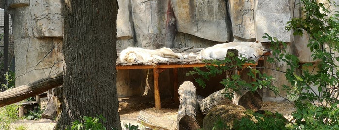 Ouwehands Dierenpark